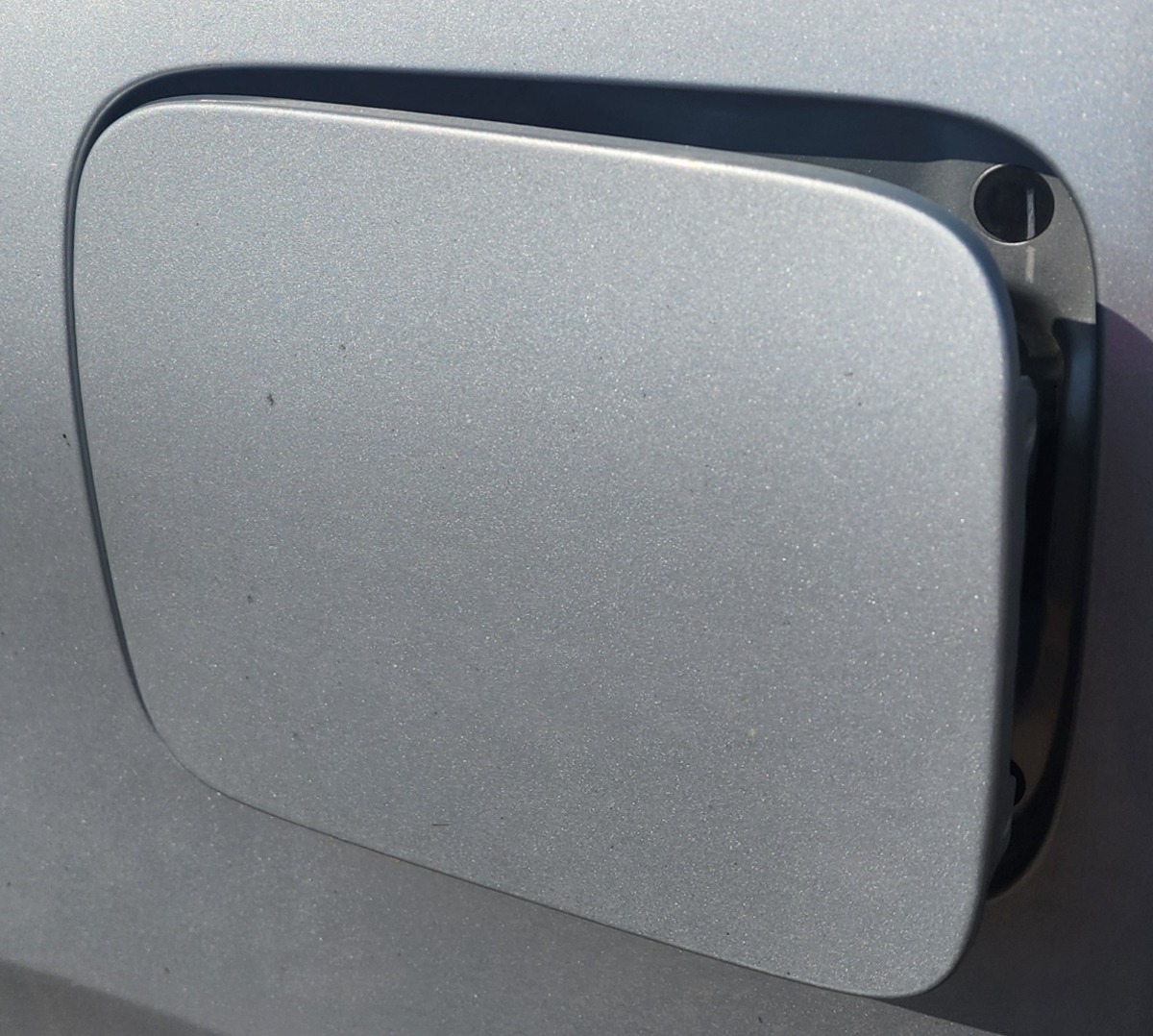 RUMION FUEL FLAP
