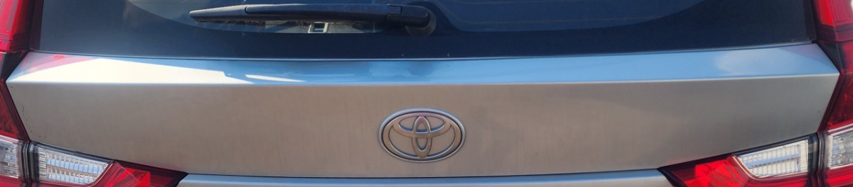 RUMION TAILGATE MOULDING