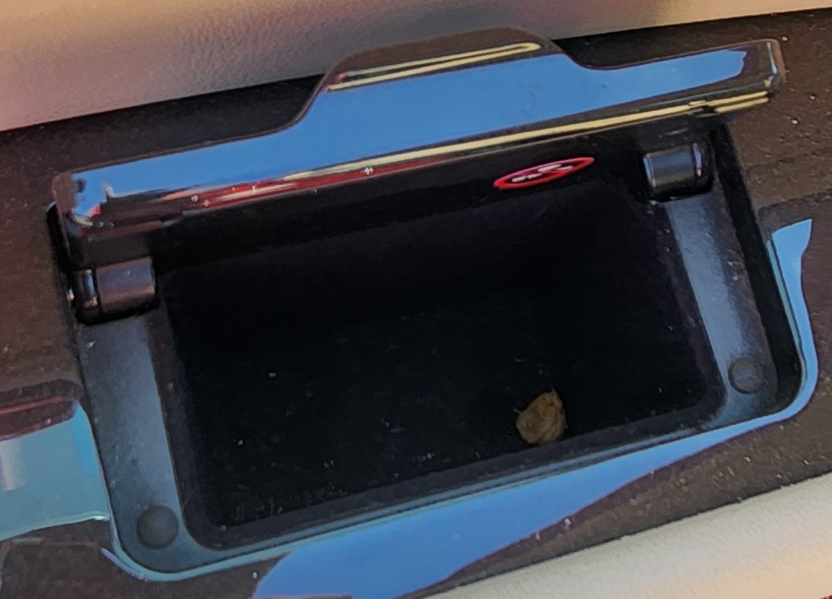 GS LEFT REAR ASHTRAY
